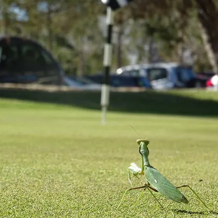 Sol Y Sal Torrevieja