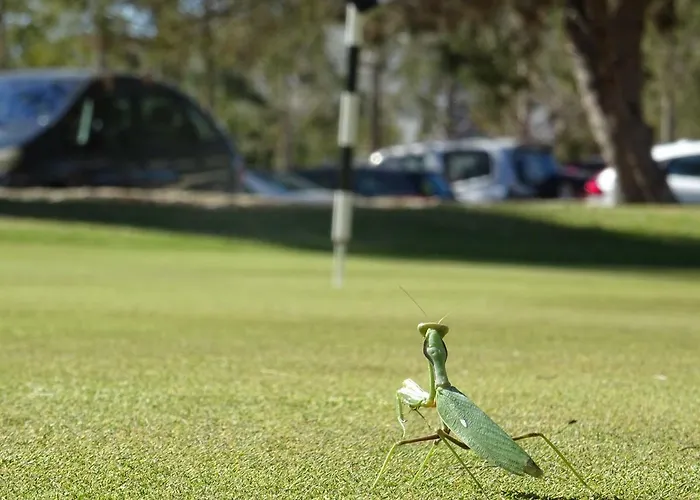 Sol Y Sal Torrevieja